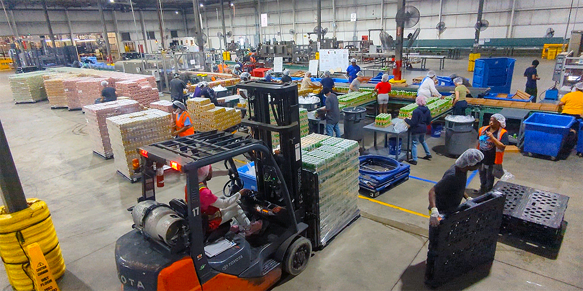 Overview of the production floor of a company